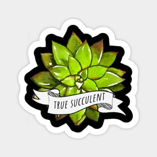 Succulents and plants mom 20 Sticker